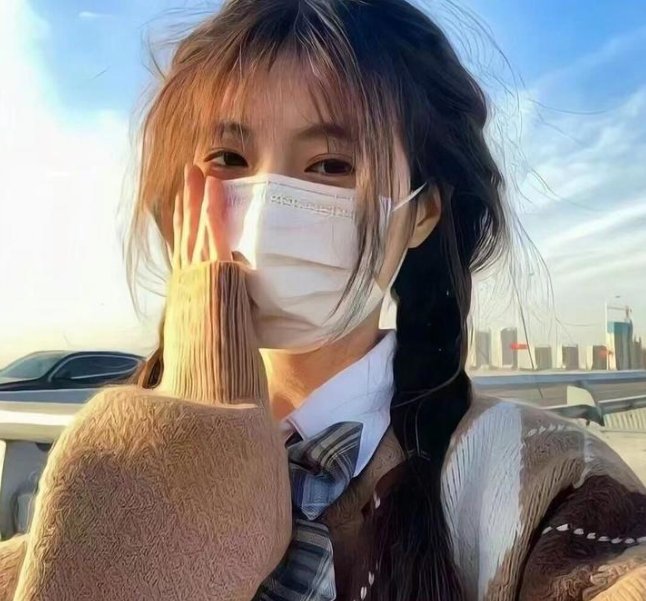 反对布鲁克林的案件